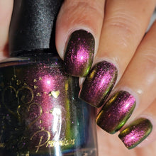 Load image into Gallery viewer, 2025 Doorbuster