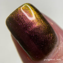 Load image into Gallery viewer, 2025 Doorbuster