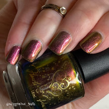 Load image into Gallery viewer, 2025 Doorbuster