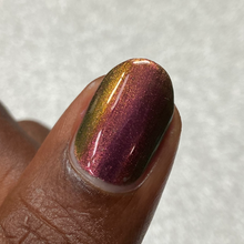 Load image into Gallery viewer, 2025 Doorbuster