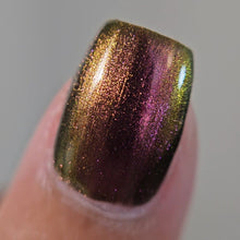 Load image into Gallery viewer, 2025 Doorbuster