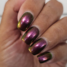 Load image into Gallery viewer, 2025 Doorbuster