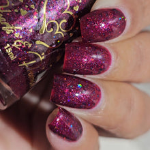 Load image into Gallery viewer, 2025 Black Friday Trio