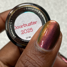 Load image into Gallery viewer, 2025 Doorbuster