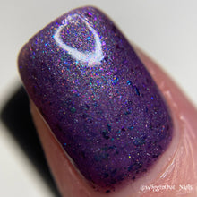 Load image into Gallery viewer, 2025 Black Friday Trio