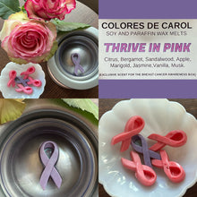 Load image into Gallery viewer, *3 ITEMS LEFT* 2023 Colores de Carol Wax Melts