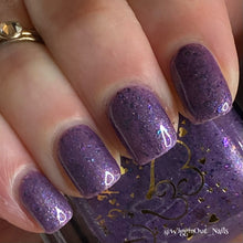 Load image into Gallery viewer, 2025 Black Friday Trio