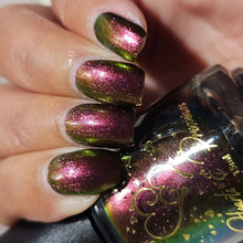 Load image into Gallery viewer, 2025 Doorbuster